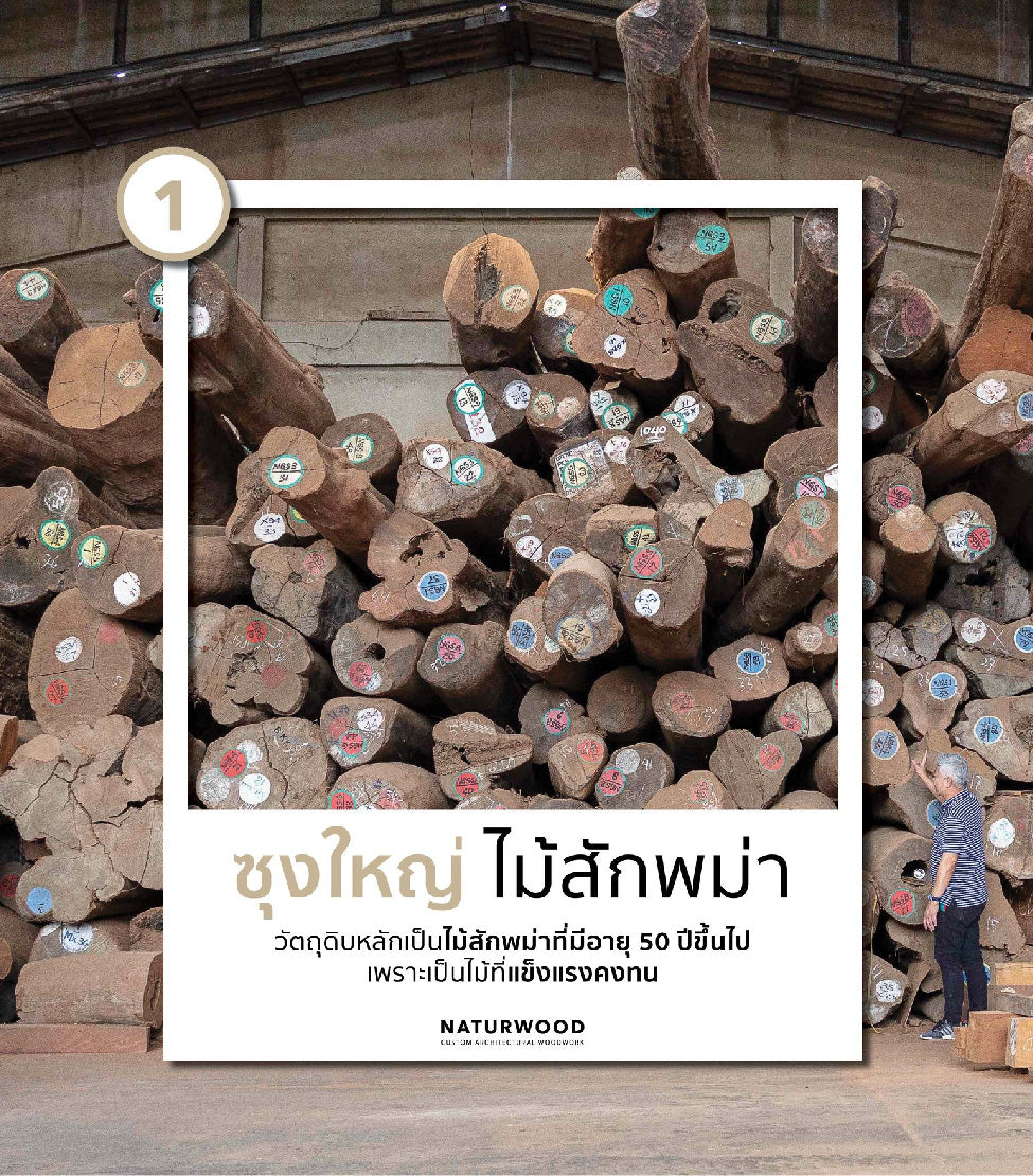 Burmese Teak Large Logs