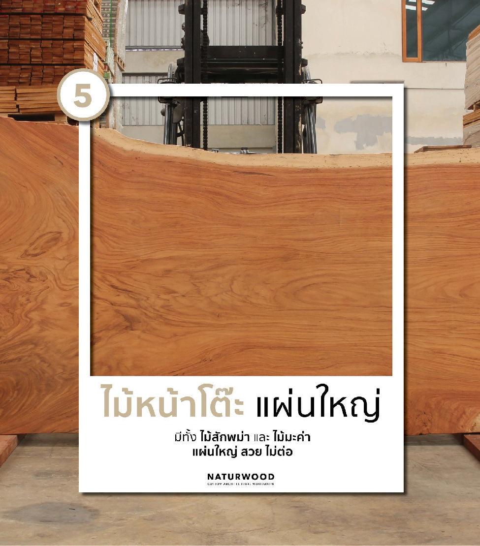 Large Solid Wood Slabs